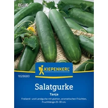 Kiepenkerl Saláta uborka Salatgurkensamen Tanja