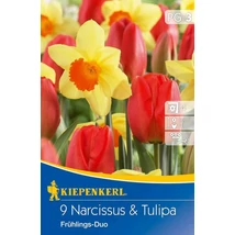 Kiepenkerl Frühlings-Duo nárcisz és tulipán virághagymák 9db Kiepenkerl Frühlings-Duo nárcisz és tulipán virághagymák 9db