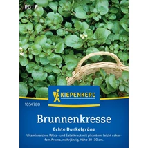 Kiepenkerl Vizitorma Brunnenkressesamen Echte Dunkelgrüne