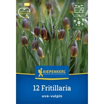 Kiepenkerl Fritillaria Uva-Vulpis császárkorona virághagyma 12db Kiepenkerl Fritillaria Uva-Vulpis császárkorona virághagyma 12db