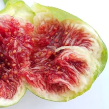 Ficus carica - Füge Verdino K2 35/45