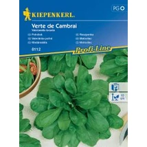 Kiepenkerl Verte de Cambrai madársaláta vetőmag