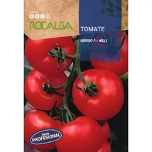 Rocalba Paradicsom Willy F1 30szem