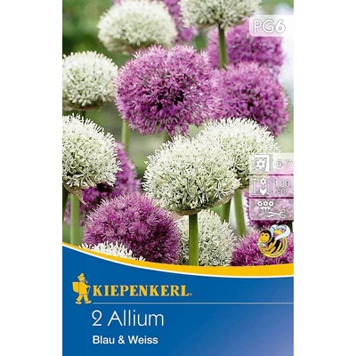 Kiepenkerl Allium Blau & Weiss díszhagyma 2db