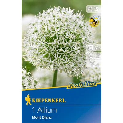 Kiepenkerl Profi Line Allium Mont Black díszhagyma virághagymák 2db