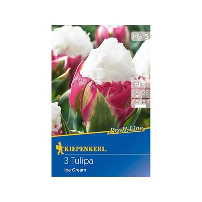 Kiepenkerl Profi-Line Ice Cream tulipán virághagymák 3 db