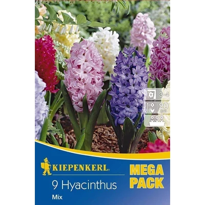 Kiepenkerl Mix vegyes jácint virághagymák MEGA PACK 9db