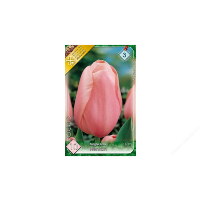 Tulipán virághagyma 10-db-os Menton