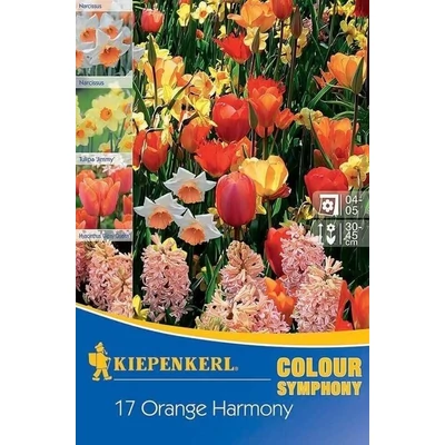 Kiepenkerl Colour Symphony Orange Harmony virághagyma összeállítás 17db