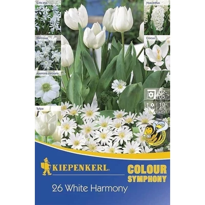 Kiepenkerl Colour Symphony White Harmony virághagyma összeállítás 26db