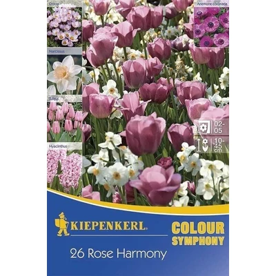 Kiepenkerl Colour Symphony Rose Harmony virághagyma összeállítás 26db