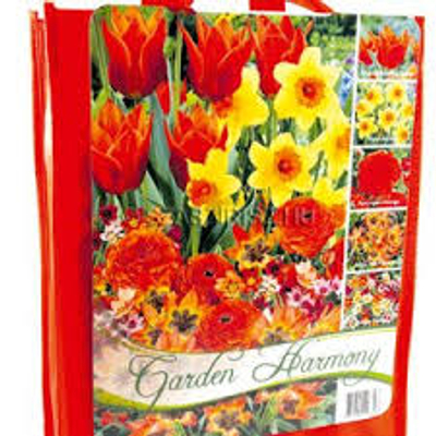 Garden harmony  vegyes virághagyma kollekció narancssárga 50db-os