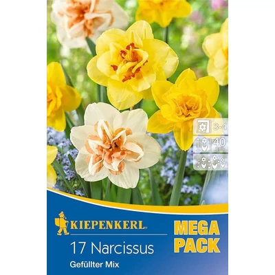 Kiepenkerl Narcissus Gefüllter Mix vegyes teltvirágú nárciszhagymák MEGA PACK 17db