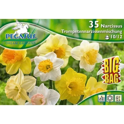 Pegasus Narcissus Trompeten Mix vegyes trombitavirágú nárcisz virághagymák 35db