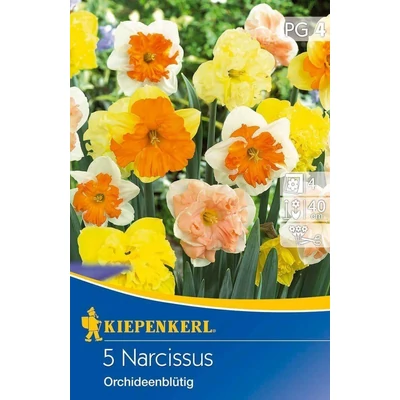 Kiepenkerl Nárcisz Orchideenblütiger Mix 5db