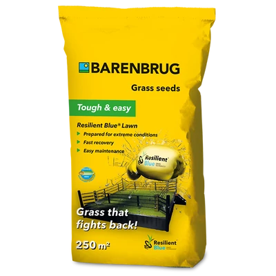 Barenbrug Resilient Blue Lawn fűmagkeverék 5kg