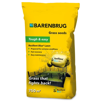 Barenbrug Resilient Blue Lawn fűmagkeverék 15kg