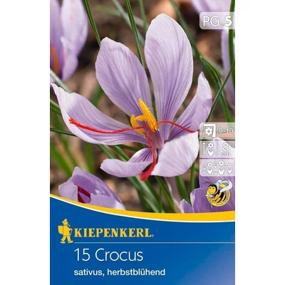 Kiepenkerl Crocus sativus (Safránykrókusz) őszi krókuszhagymák 15db