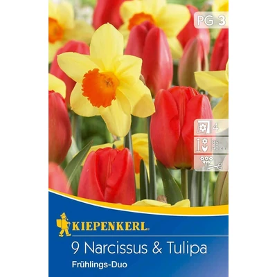 Kiepenkerl Frühlings-Duo nárcisz és tulipán virághagymák 9db