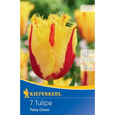 Kiepenkerl Party Clown rojtosvirágú tulipánhagymák 7db