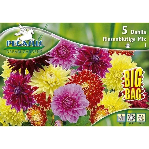 Pegasus Dália Giant Flower Mix BigBag