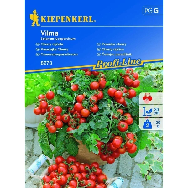 Kiepenkerl Vilma cseresznyeparadicsom