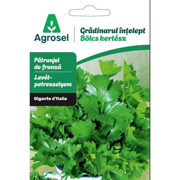 Agrosel levélpetrezselyem Gigante d Italia bölcs kertész  3,50g