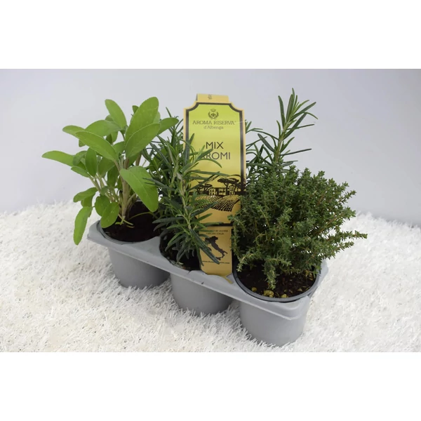 Fűszernövény mix Aroma Riserva 3db/pakk D9