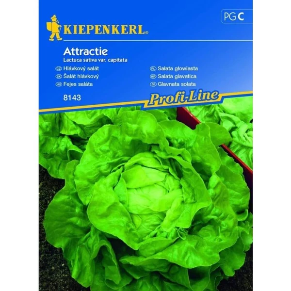 Kiepenkerl Attractie fejes saláta