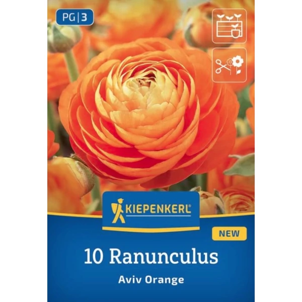 Kiepenkerl Ranunculus Aviv Orange 10 db