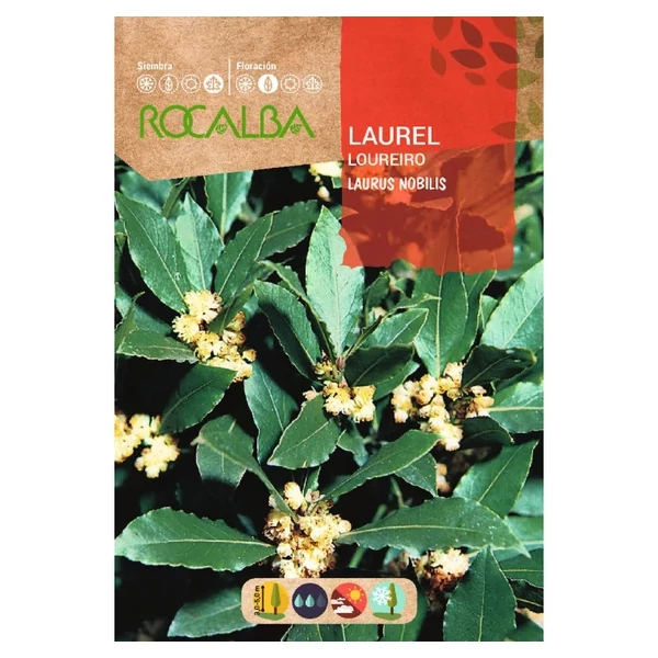 Rocalba Babér 4 szem