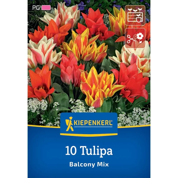 Kiepenkerl Balkon tulipánhagyma mix 10 db