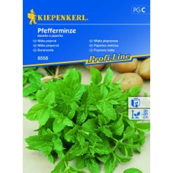 Kiepenkerl Spearmint borsmenta vetőmag