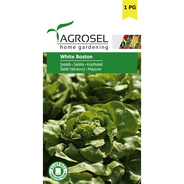 Agrosel White Boston Saláta 1,75g