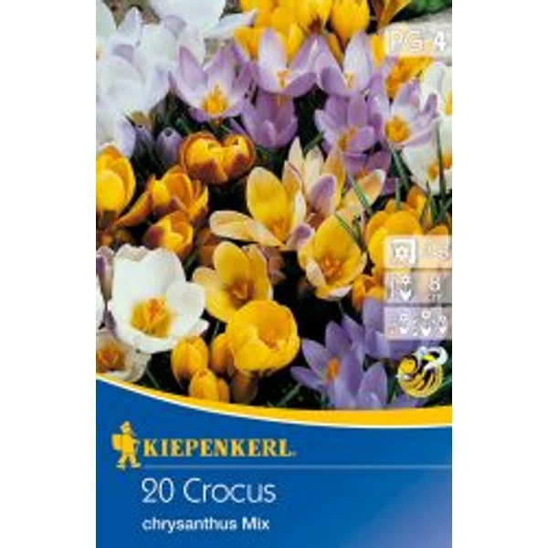 Kiepenkerl Crocus chrysanthus Mix krókusz virághagymák 20db