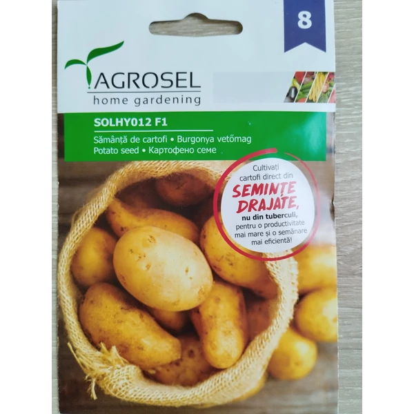 Agrosel burgonya vetőmag SOLHY012 F1