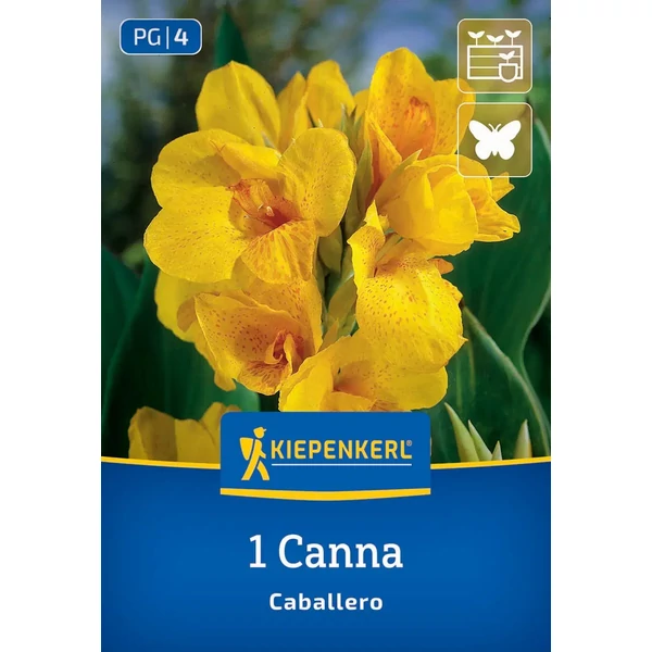 Kiepenkerl Canna Caballero 1db/cs