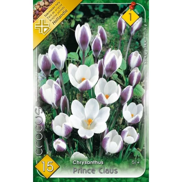 crocus virághagyma 10-db-os Prince Claus