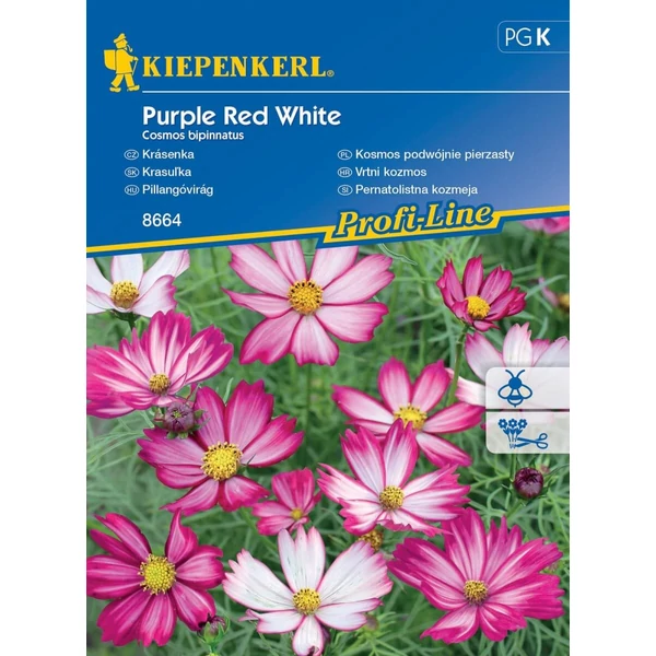 Kiepenkerl Purple Red White pillangóvirág vetőmag