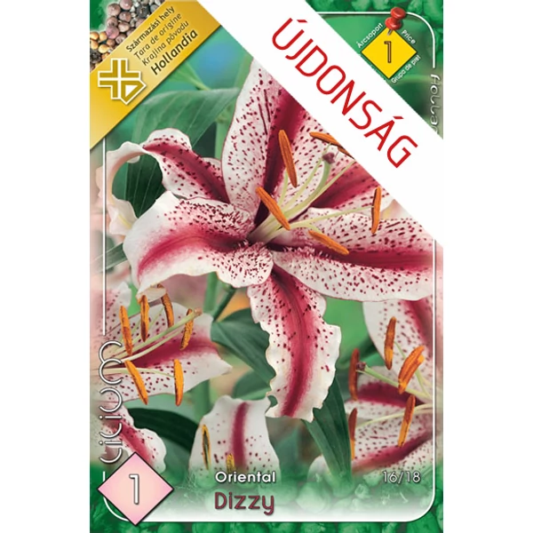Liliom Dizzy 1-db-os