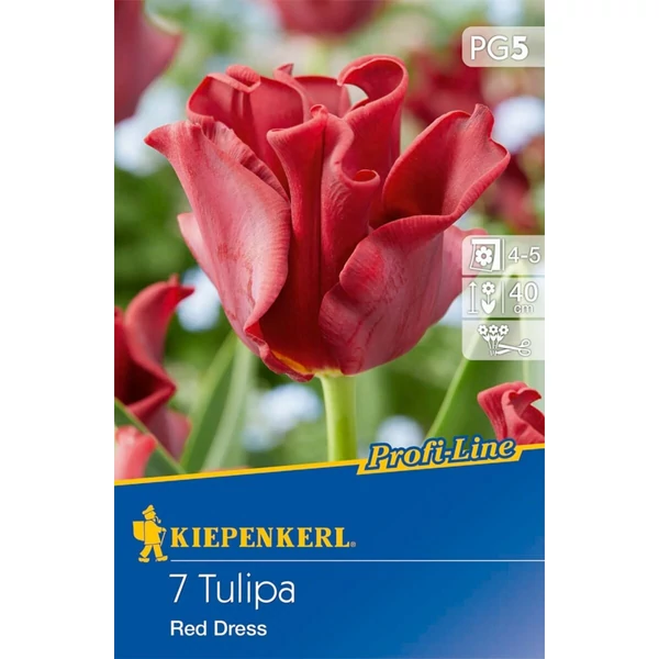 Kiepenkerl Tulipa Red Dress korona tulipán virághagymák 7db