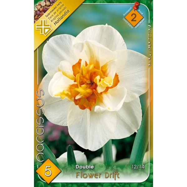 Nárcisz virághagyma 5-dbos Flower drift