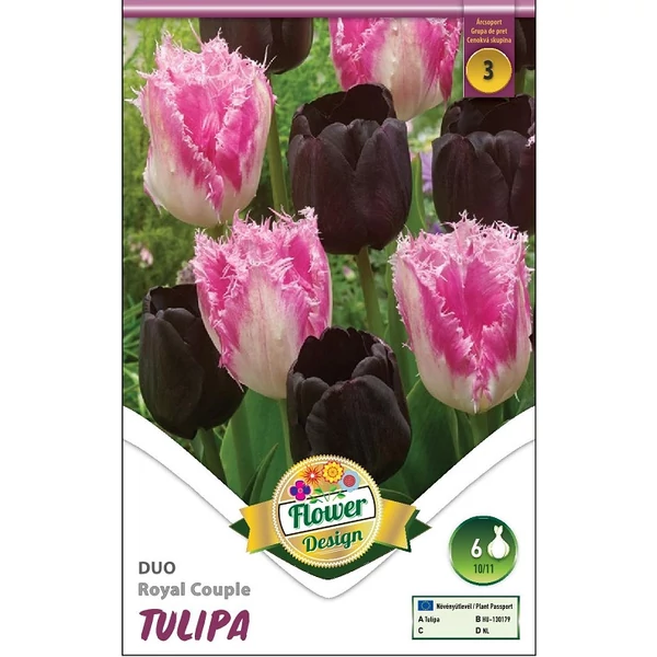 Tulipán virághagyma 6db-os Duo Royal Couple
