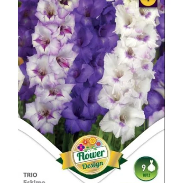 Kardvirág Gladiolus  EskimoTrio 9db/cs