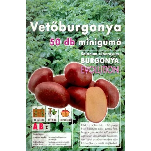 Vetőburgonya Evolution Minigumó 50db/cs