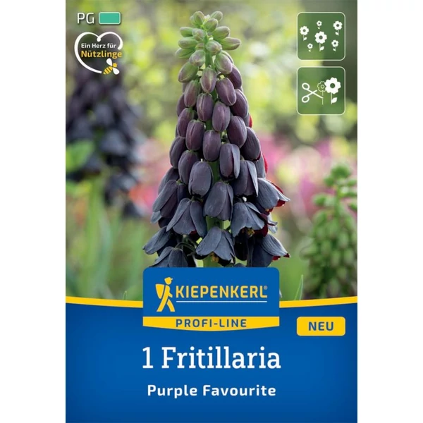 Kiepenkerl Fritillaria Purple Favourite császárkorona virághagyma 1db