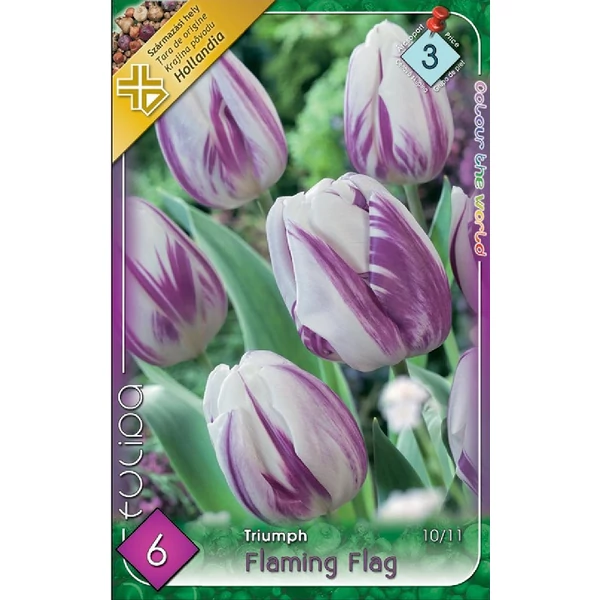Tulipán virághagyma 6-db-os Flaming Flag Tulipán virághagyma 6-db-os Flaming Flag