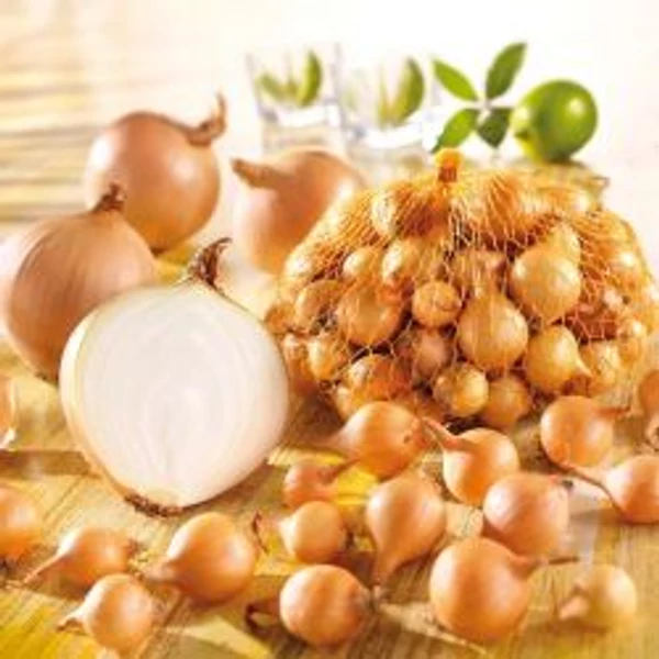 Kiepenkerl Sárga mogyoróhagyma Golden Gourmet 500g