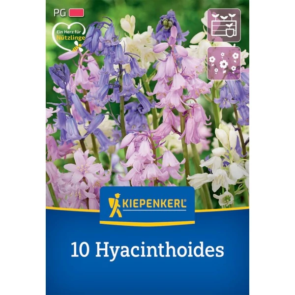 Kiepenkerl Hyacinthoides harangvirág mix 10db