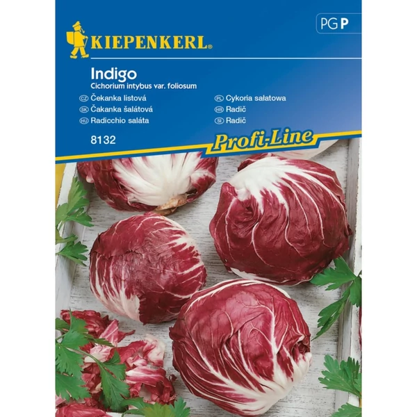 Kiepenkerl Indigo Cikoria saláta